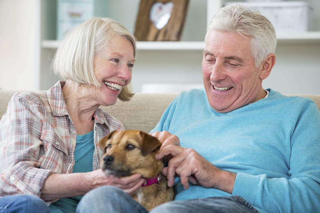 Pic of couple with dog