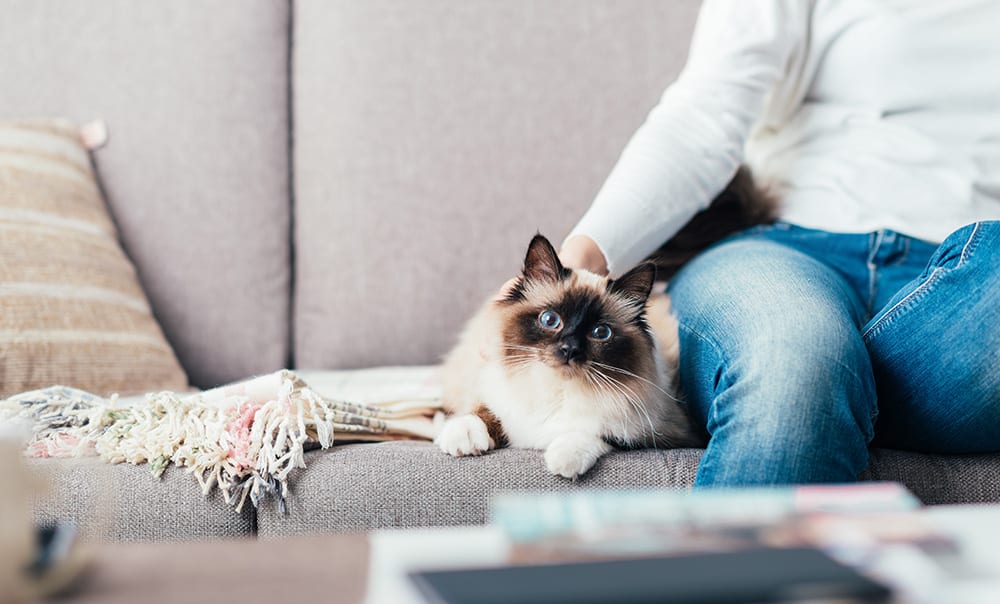 Pet friendly retirement living