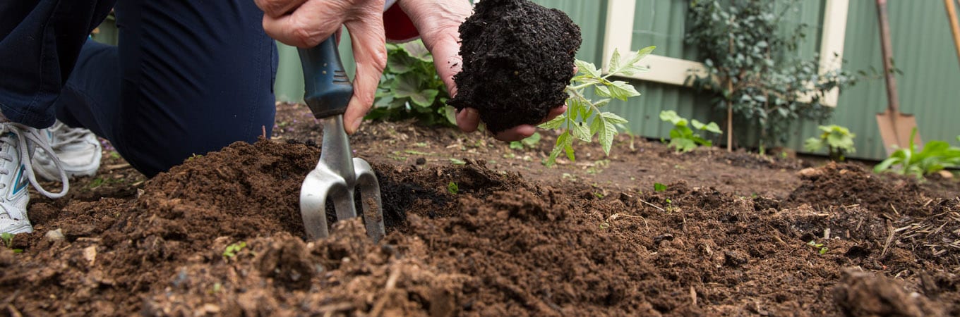 composting and how you can get started