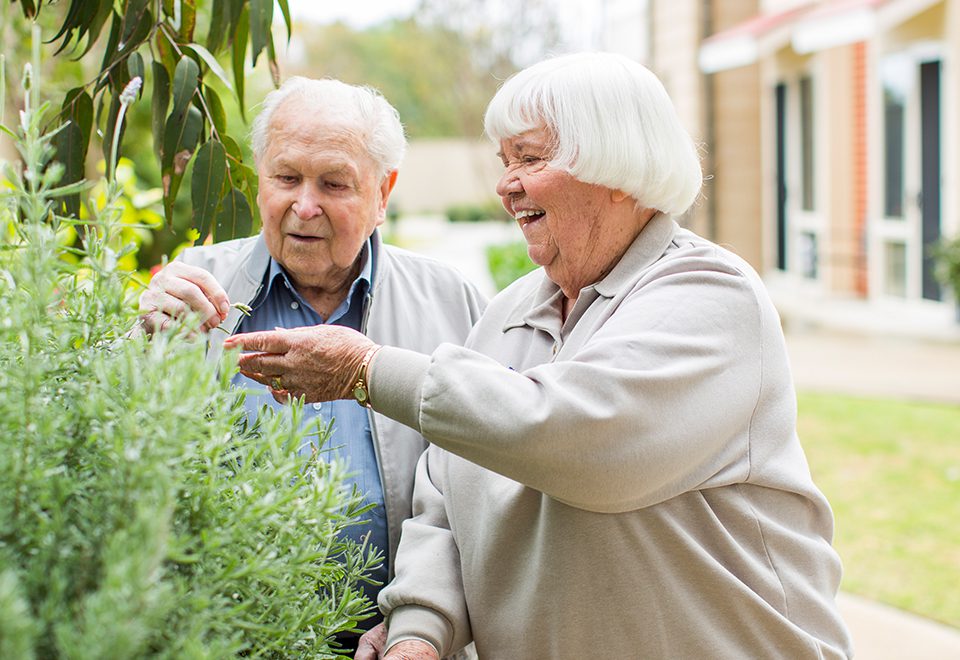 Dementia support in nursing home