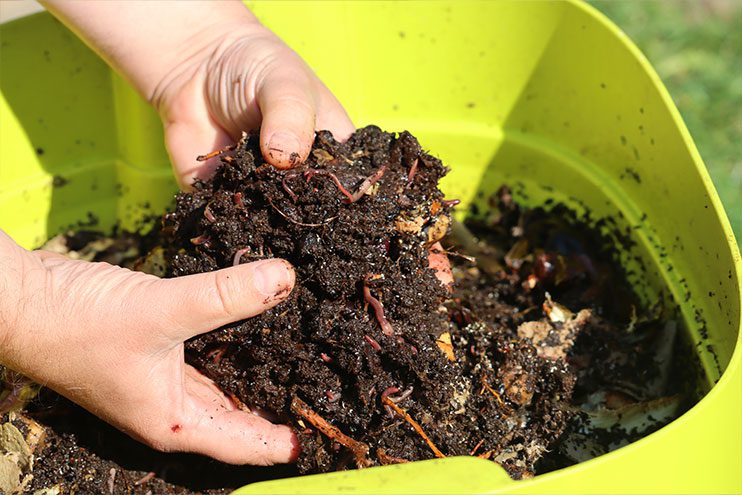 Healthy soil prepared for spring gardening