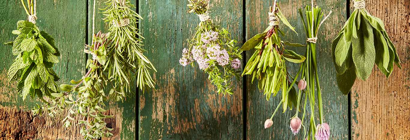 Drying herbs, how to grow your own greengrocer