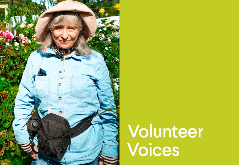 Elizabeth's volunteer voice at ACH Group
