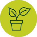 Home and garden maintenance