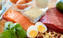 examples of food containing protein