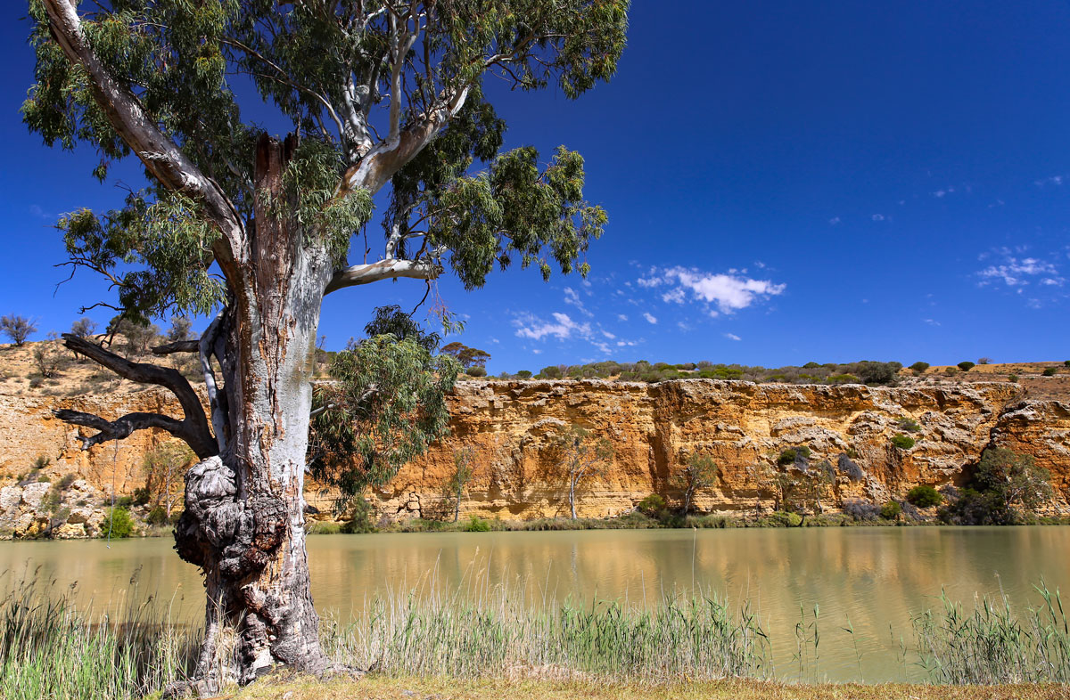 Discover and explore featured getaway March 2026