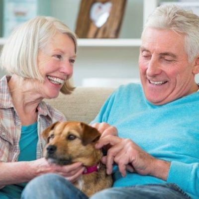 couple with dog couple with dog